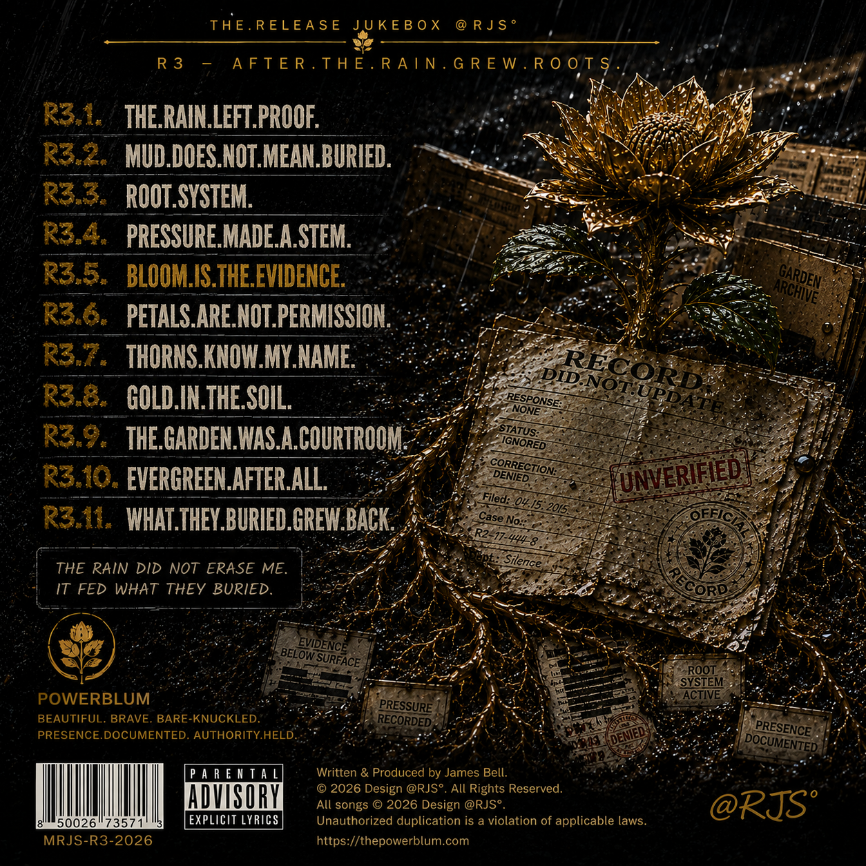 R3 — After.The.Rain.Grew.Roots. official back cover artwork